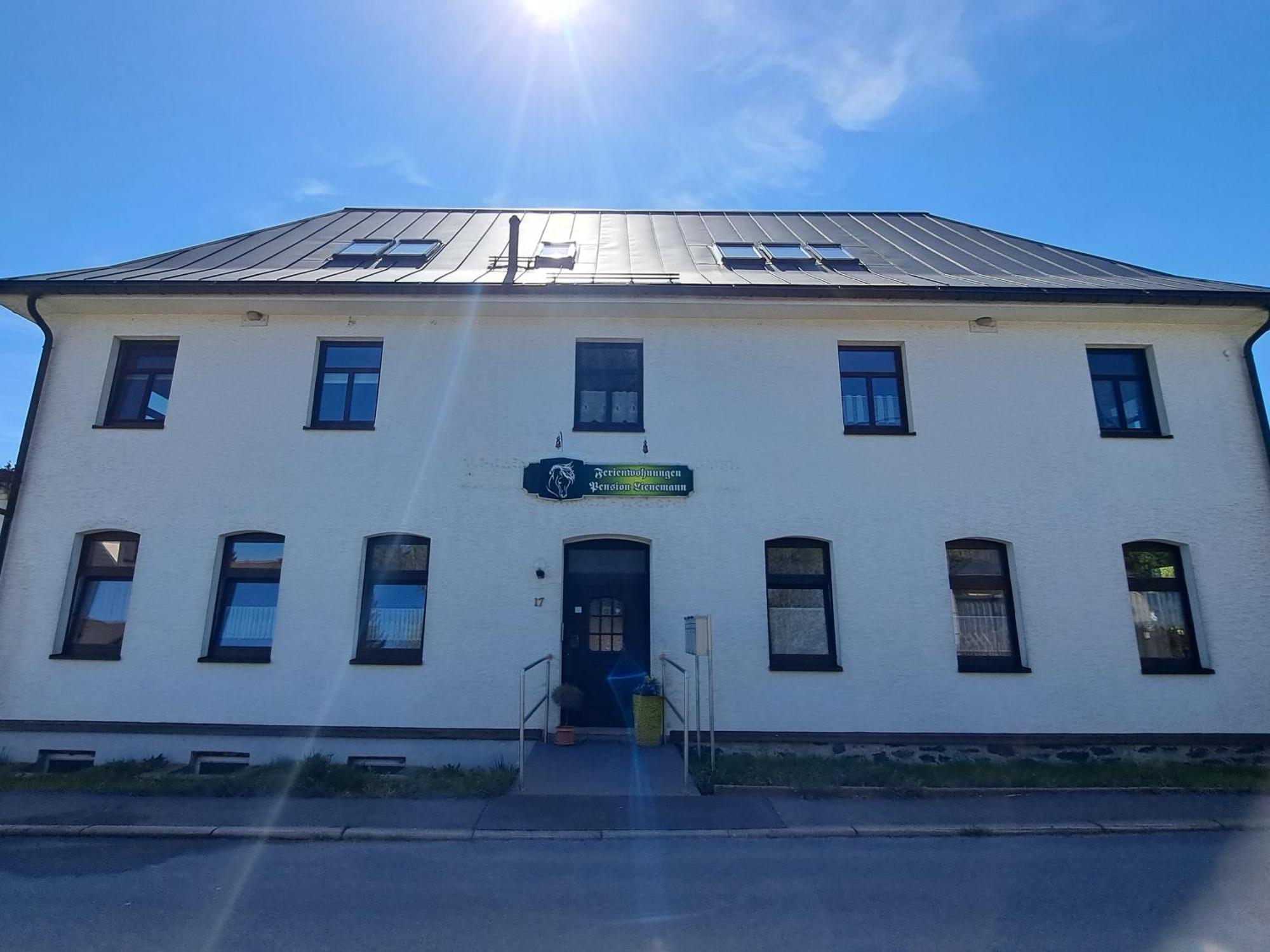 Reiterhof & Pension Lienemann Grünbach 外观 照片